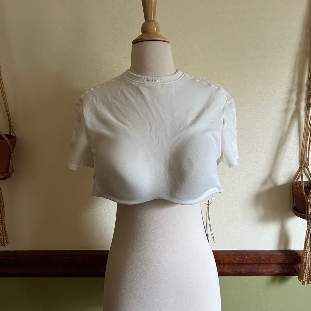 Ivy Park Crop Top